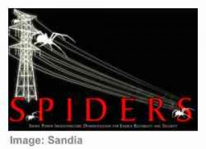 spiders_microgrid_growth